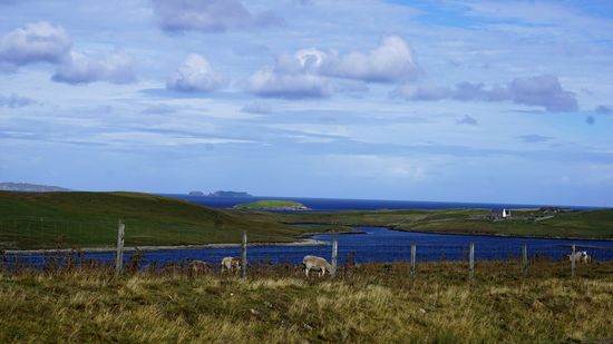 Aber die Hauptattraktion ist und bleibt die Natur.