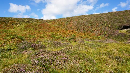 Ein Stück weiter geht es nur noch zu Fuß weiter. Ich laufe ca. 3 km zur anderen Seite einer Halbinsel.