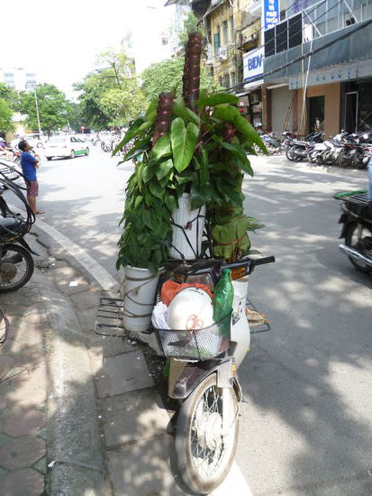 Zweckentfremdeter Roller