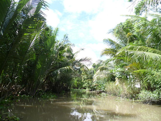 Ein Nebenarm des großen Mekong
