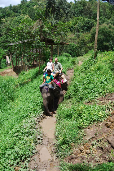 vom Elefant aus sah es gefährlicher aus