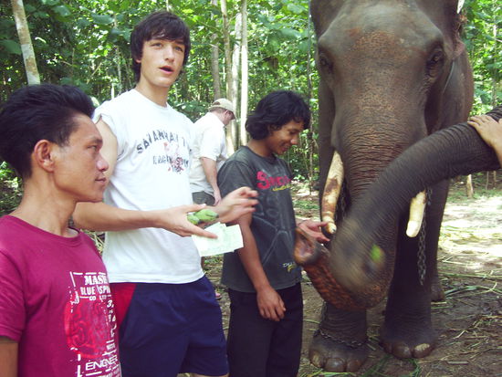 Wäre der Größenunterschied nicht, könnte man glatt denken ich gehöre dazu