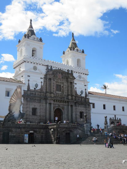 mit Vögelchen im Bild!