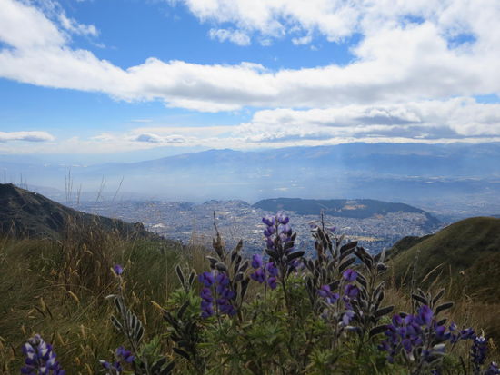 Aber es gab ne schöne Aussicht!