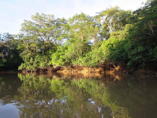 Fluss mit Niedrigwasser