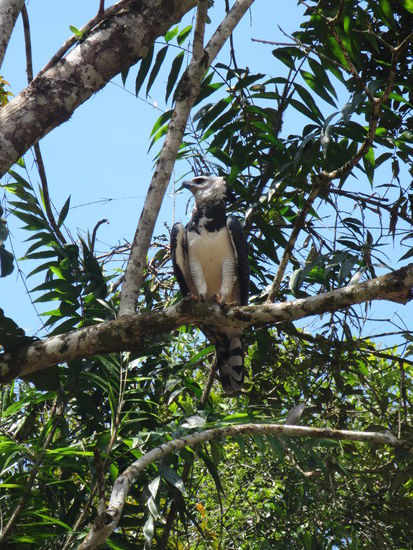 Zum Abschied nochmal ein Vögelchen