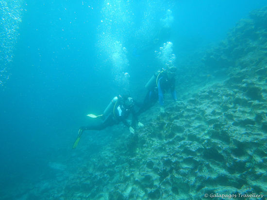 Die Strömung war ganz ordentlich