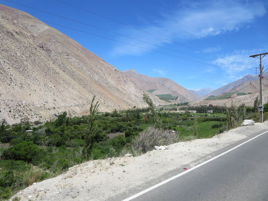 Weg ins Elqui Tal