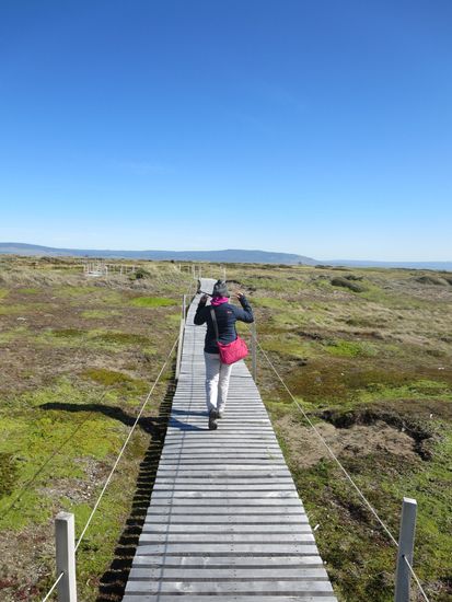 Ganz schön windig war´s!