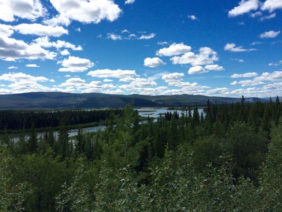 Blick auf den Yukon