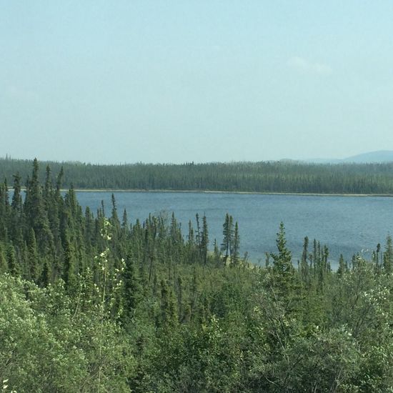 Kluane Lake
