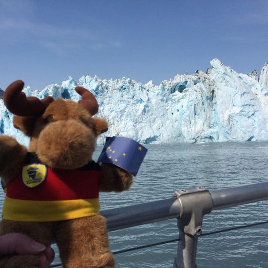 Auch Elki genießt den Ausflug...