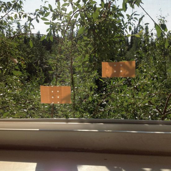 Reparatur Set für Fliegengitter