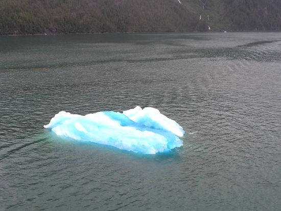 Eisscholle im Tracy Arms Fjord