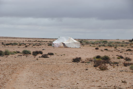 Beduinenzelt im Nirgendwo, östlich von Laayoune