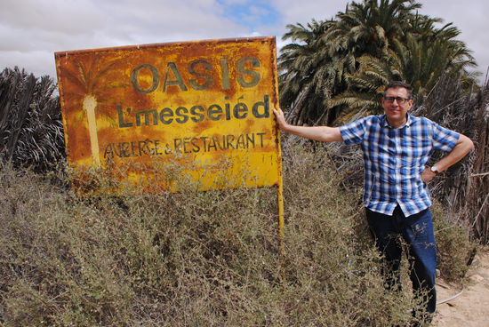 Oase im Wadi Saguia el Hamra.
