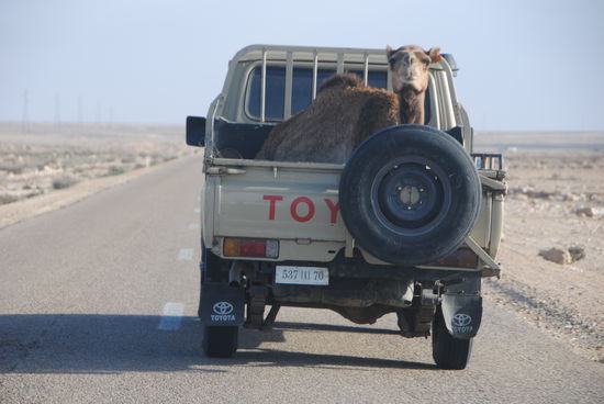 Hybridfahrzeug der Sahauris