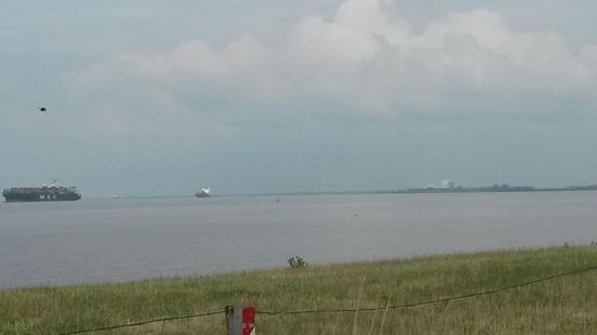 Die Elbe mit dem AKW Brokdorf im Hintergrund.