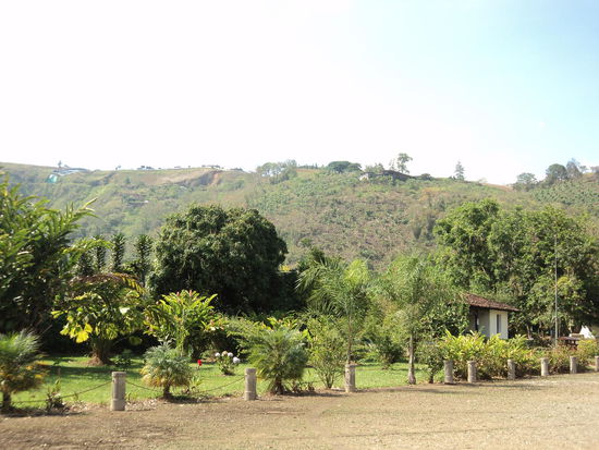 Umgebung um die Ruinen