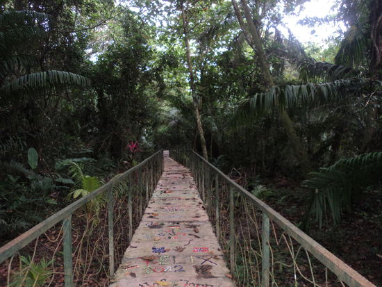Weg zum Schmetterlingsgarten führt durch den Dschungel