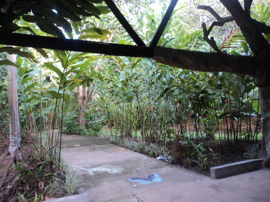 Hier geht's Richtung Butterfly Garden