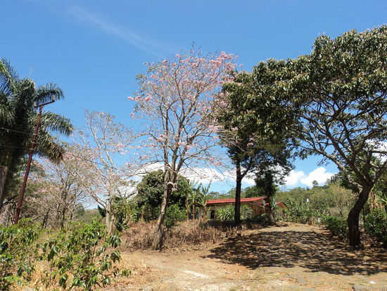 Auf dem Weg zum Wasserfall nahe Barrio Jesus