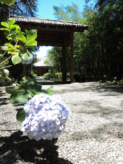 Eingang zum Asiatischen Garten