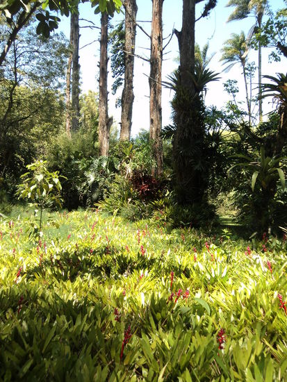 Lasst mich allein in einem zwar großen, aber eingezäunten Gebiet, und ich verlaufe mich  Wo bin ich?