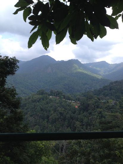 Ausblick von einer der insgesamt 50 Plattformen