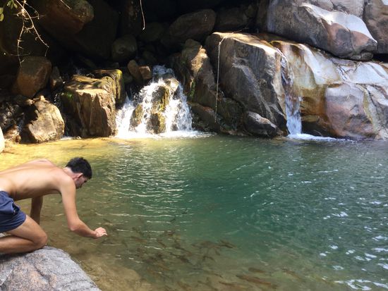 auf der Jagd nach unserem Abendessen ... wir mussten hungrig ist Bett 