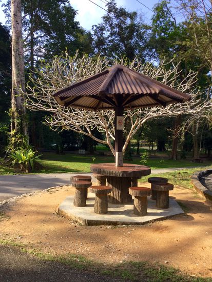 Da das Internet hier am besten war, saßen wir abends auf diesen Hockern und schauten Tatort