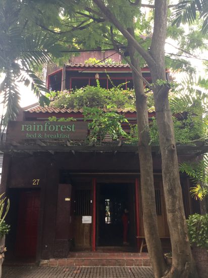 Unser kleiner Regenwald mitten im Großstadtdschungel 