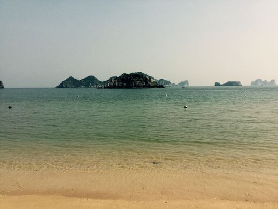 Cat Co 2 - der Strand