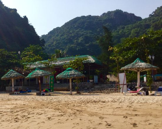 Links im Bild: Vinni auf der Liege 