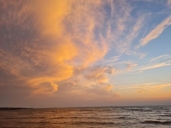 Sage hafte Farben live