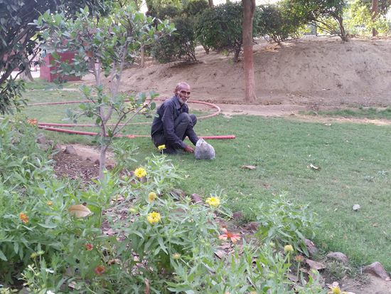 Der Gärtner im nature walk