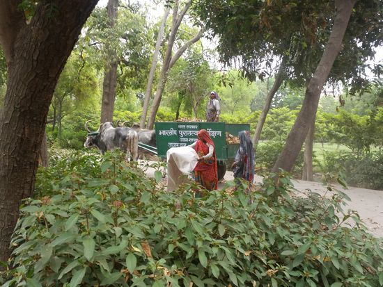 Zu Ehren derer,die die Arbeit machen