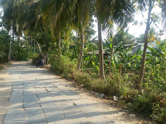 Eine Straße aus hampi basar hinaus..durch bananenplantagen