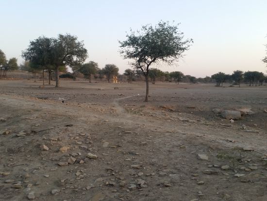 Die Steppe längs des See's