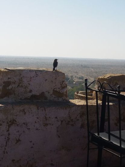 Neuer Freund am Morgen