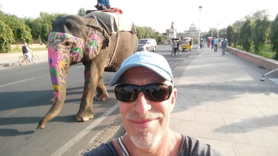 You never walk alone...im Hintergrund Albert Hall Museum