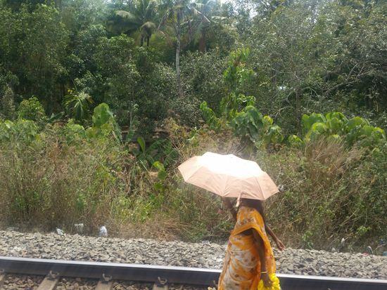 Der Weg ist weit,doch die Umgebung grünt...