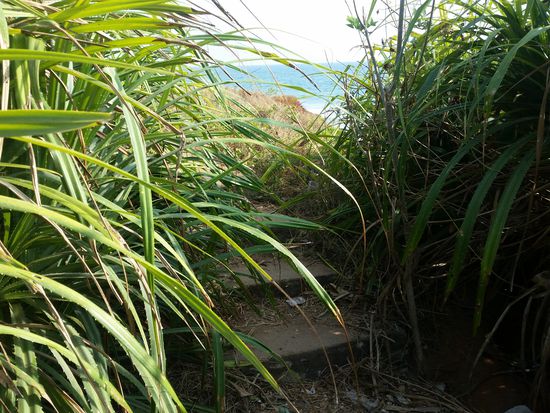 Geheimnisvoller Durchgang