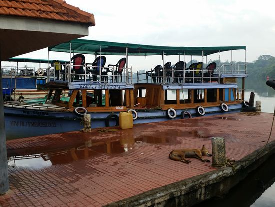 Mein Fährboot für die backwaters