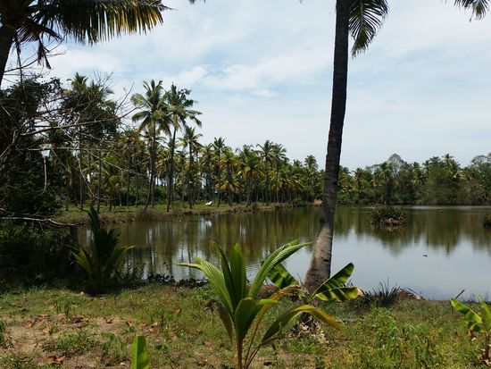 Die Backwaters