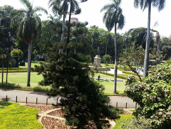 Blick in den Garten des PoWM