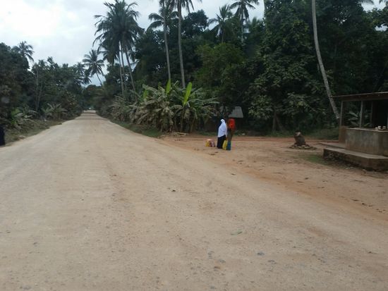 Mittlerer Abschnitt der Straße nach Nungwi