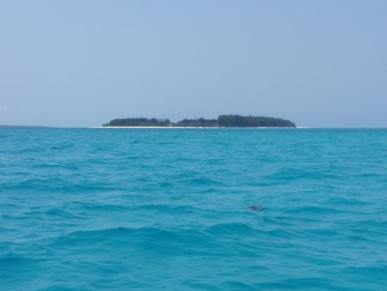 Mnemba Island von ferne