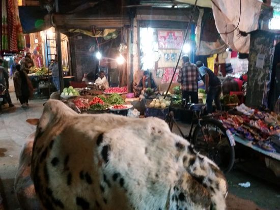 Weibliche Markbesucherin