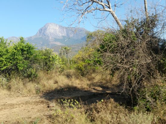 Chinnar Wildlife Sanctuary bei Marayoor